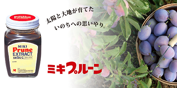 ミキプルーンの人気の秘密とは 勧誘辞めました ネットワークビジネスは在宅で成功できる